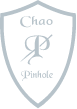 Chao Pinhole Surgical Technique logo